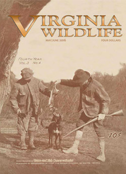 Virginia Wildlife 100th Anniversary Issue Cover